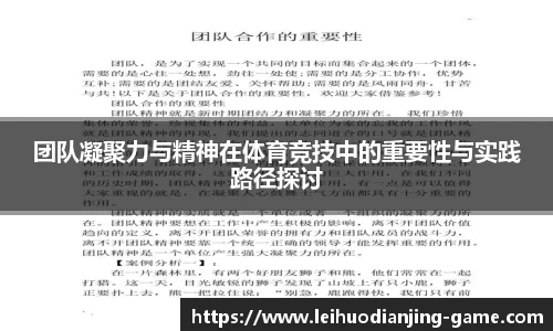 团队凝聚力与精神在体育竞技中的重要性与实践路径探讨